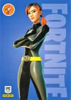 Polarity Panini Fortnite trading card front