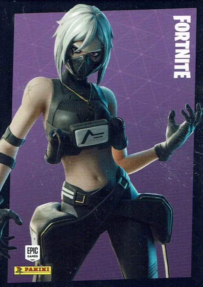 Hush Panini Fortnite trading card front