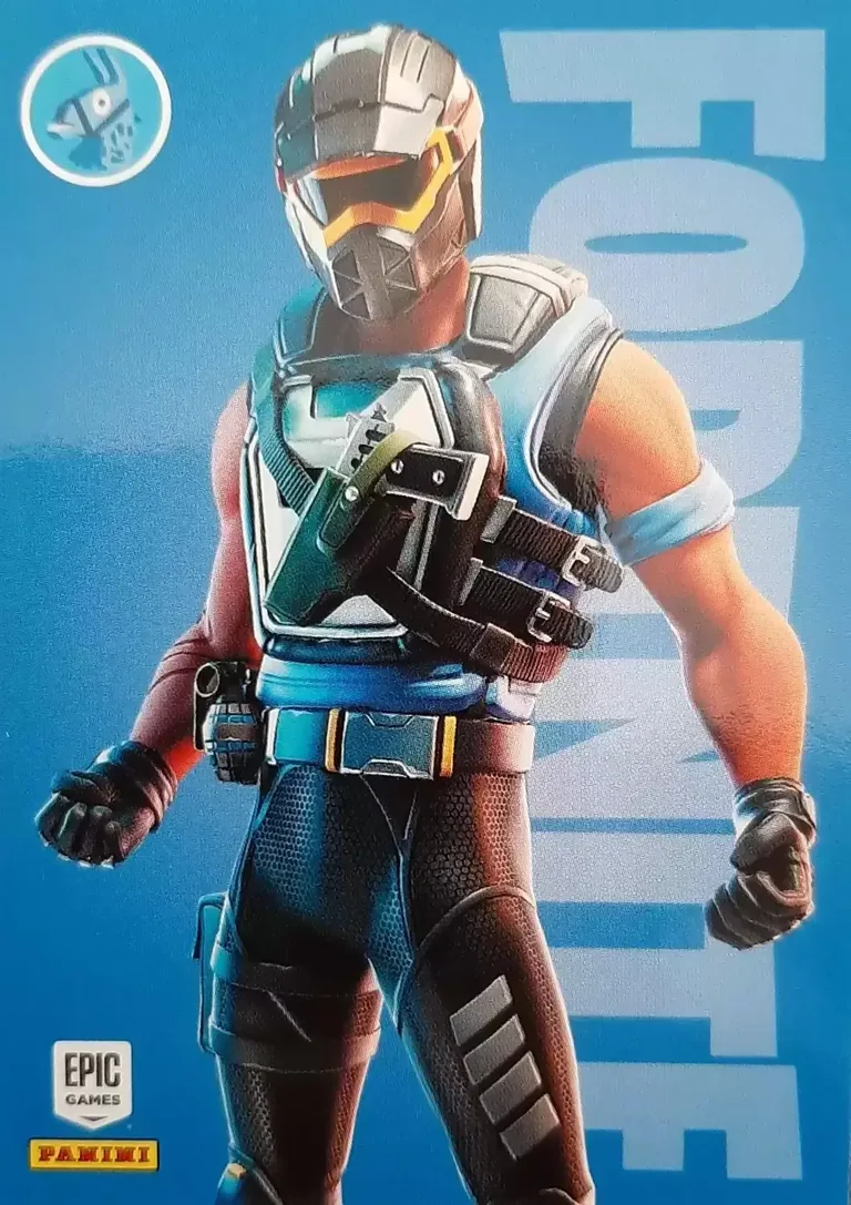 Wake Rider Panini Fortnite trading card front
