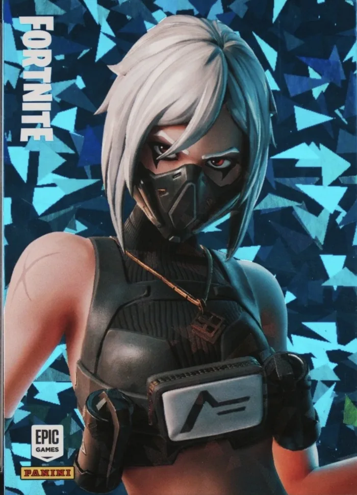 Hush Panini Fortnite trading card front